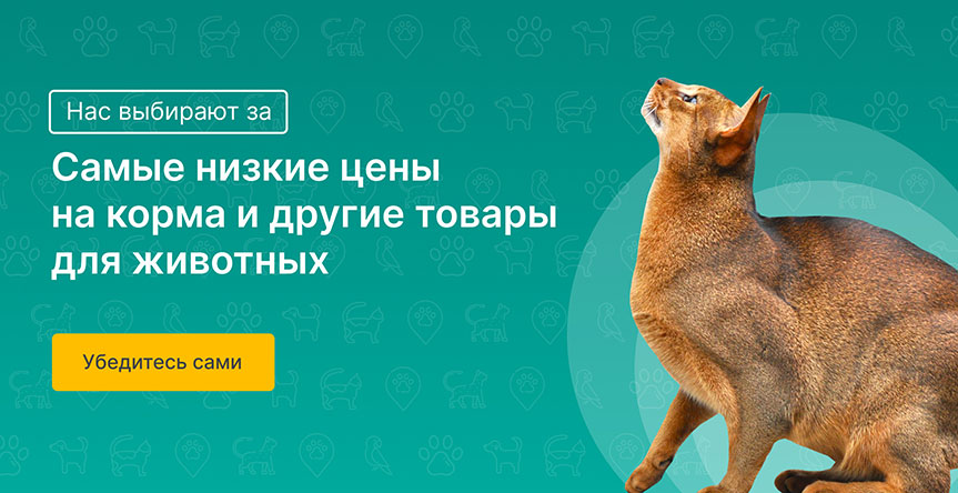 Vinaora Nivo Slider 3.x