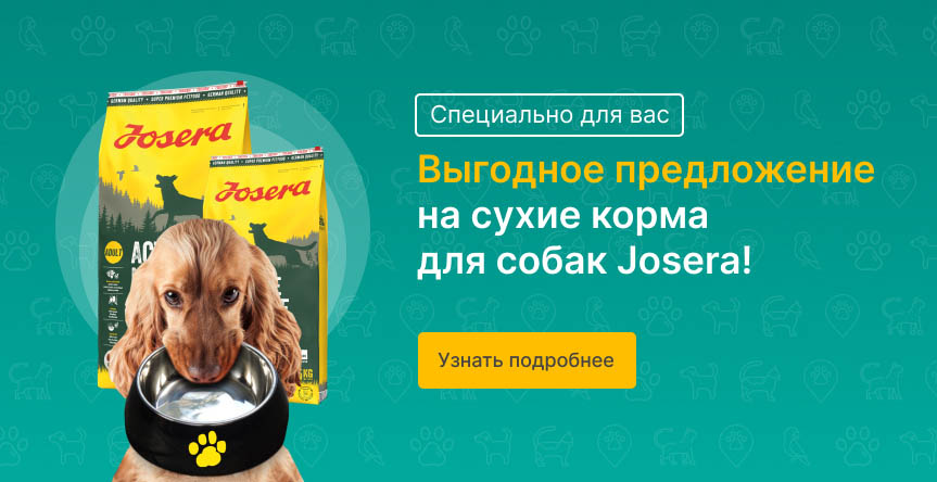 Vinaora Nivo Slider 3.x