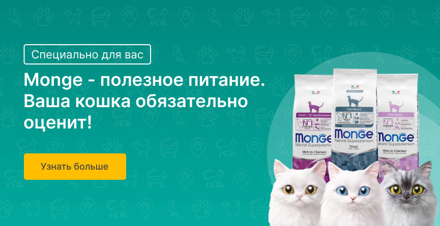 Vinaora Nivo Slider 3.x