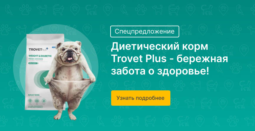 Vinaora Nivo Slider 3.x