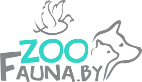 Магазин зоотоваров для собак, кошек, грызунов, птиц и аквариума